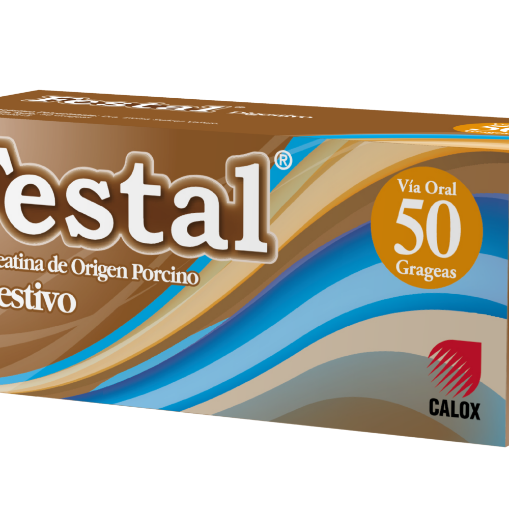 Festal – Calox International