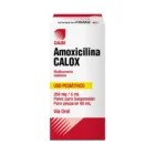 Amoxicilina 250mg 5mL - 60mL polvo para susp oral